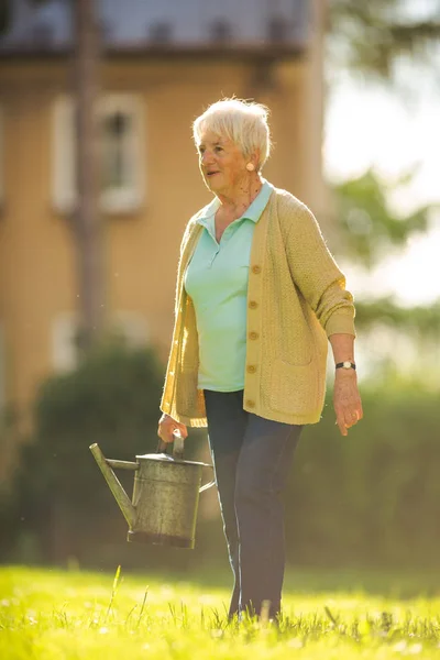 Старшая Женщина Занимается Садоводством Своем Прекрасном Саду — стоковое фото