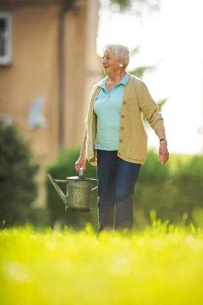 Seniorin Macht Gartenarbeit Ihrem Schönen Garten Pflanzen Gießen — Stockfoto