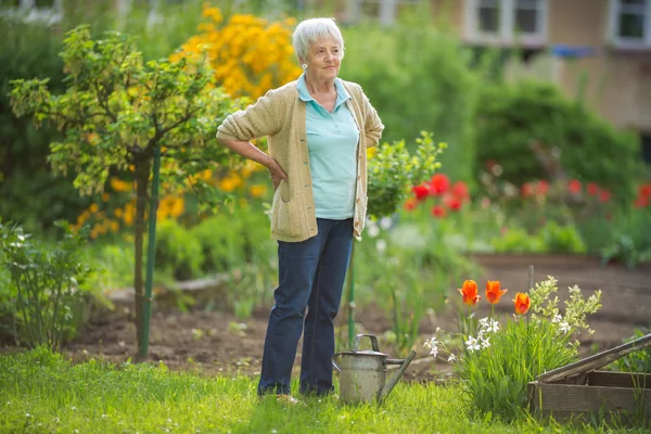 Mulher Sênior Fazendo Alguma Jardinagem Seu Lindo Jardim Regando Plantas — Fotografia de Stock