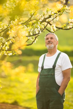 Bahçe, onun güzel orchad dikkat çekici üst düzey adam portresi