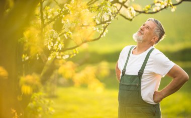 Bahçe, onun güzel orchad dikkat çekici üst düzey adam portresi