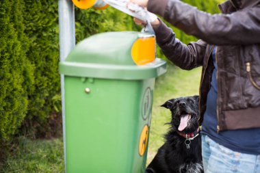 Köpeğinizin faul yapmasına izin vermeyin!
