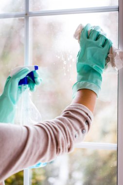 Genç Gülümseyen Kadın Süngerle Pencereyi Siliyor