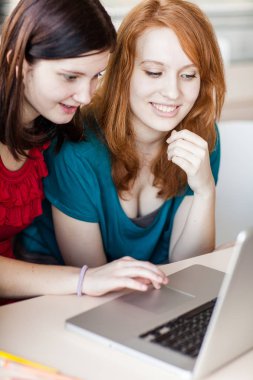 Ev ödevleri üzerinde çalışan kız üniversite öğrencilerinden oluşan bir grup/havin