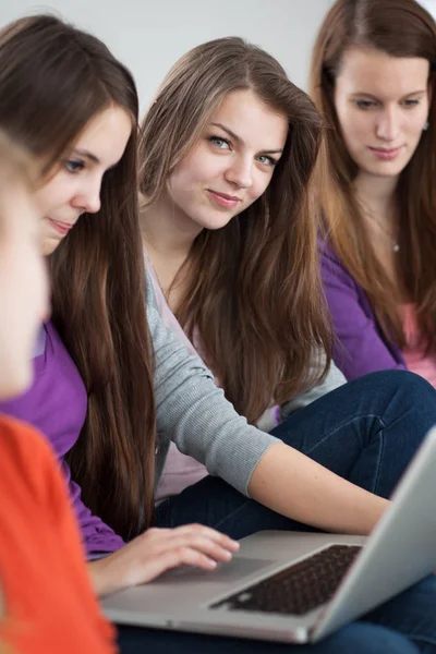 Groep vrouwelijke studenten werken aan hun huiswerk/havin — Stockfoto