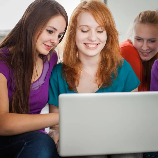 Vrouwelijke college studenten werken aan hun huiswerk/het hebben van een praatje — Stockfoto