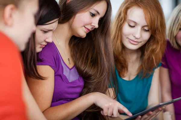 Étudiants travaillant sur leurs devoirs Photo De Stock