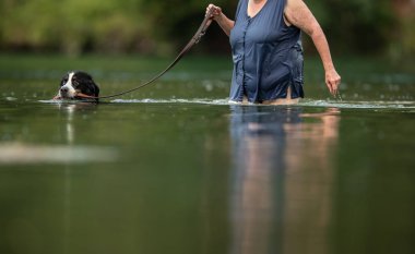 Yaşlı kadın onu sevimli köpek ile bazı nehir yüzme zevk. Com