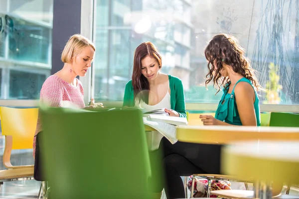 Grupp av universitetsstudenter som studerar hårt för en tentamen — Stockfoto