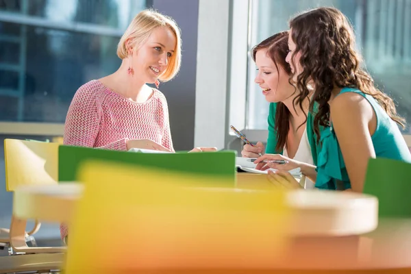 Grupp av universitetsstudenter som studerar hårt för en tentamen — Stockfoto