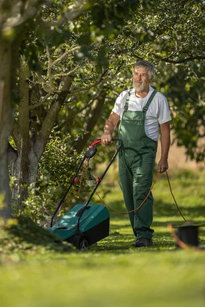 Jardinería de jardinería senior en su jardín de permacultura — Foto de Stock