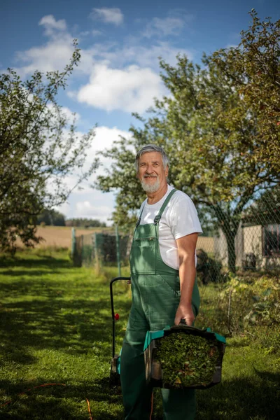 Senior Gardenr berkebun di taman permakultur nya — Stok Foto