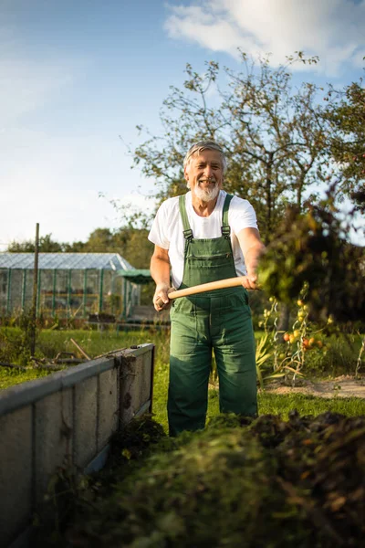 Giardinaggio senior nella sua permacultura, giardino biologico — Foto Stock