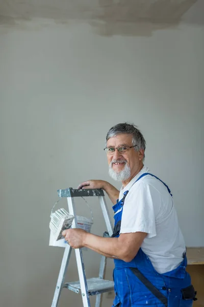 Hombre Mayor Pintando Una Habitación Apartamento Alquiler Con Cubo Pintura — Foto de Stock