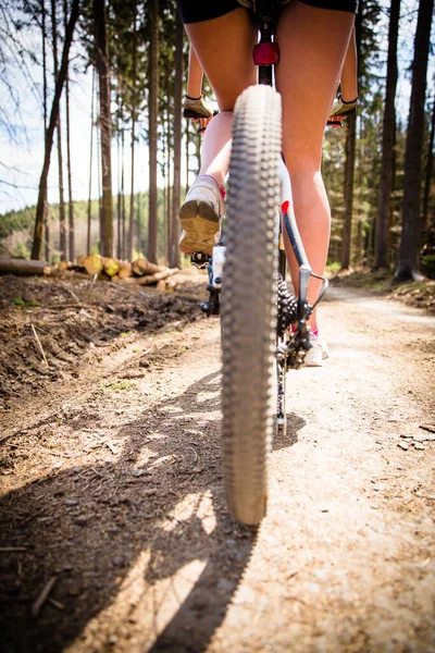 Söt Ung Kvinnlig Cyklist Utomhus Sin Mountainbike Grund Dof Selektivt — Stockfoto