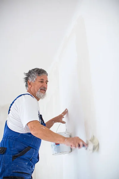 シニアマンは 塗装バケツ 壁画のコンセプトで賃貸アパートの部屋を塗装 短時間のレンタルプロパティのメンテナンス — ストック写真