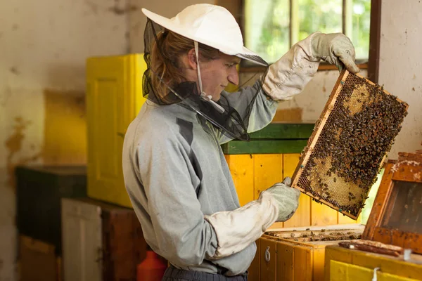 Pszczelarz Pasiece Przytrzymanie Rama Strukturze Plastra Miodu Pokryte Roi Pszczół — Zdjęcie stockowe