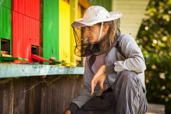 Apiculteur Dans Rucher Tenant Cadre Nid Abeilles Couvert Essaims Abeilles — Photo