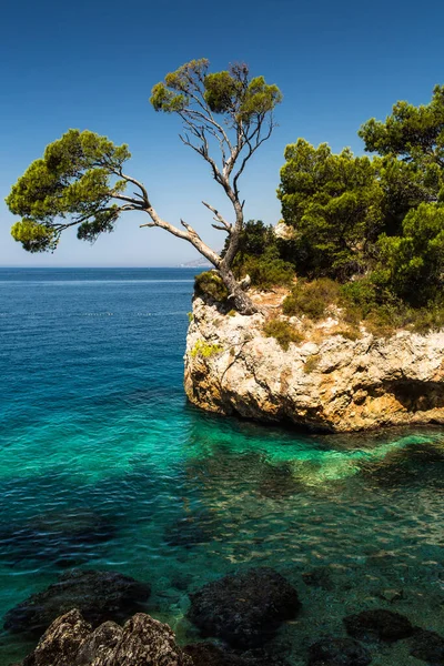 Herrliche Meeresküste Kroatiens Makarska Riviera Brela — Stockfoto
