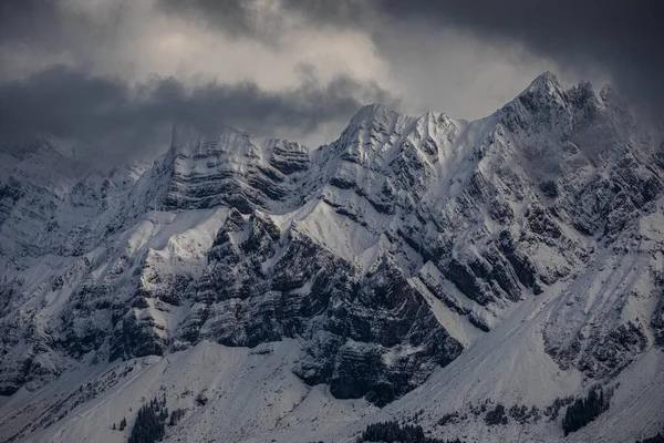 Impressionante Paisagem Inverno Com Abetos Cobertos Neve Dia Gelado Cena — Fotografia de Stock