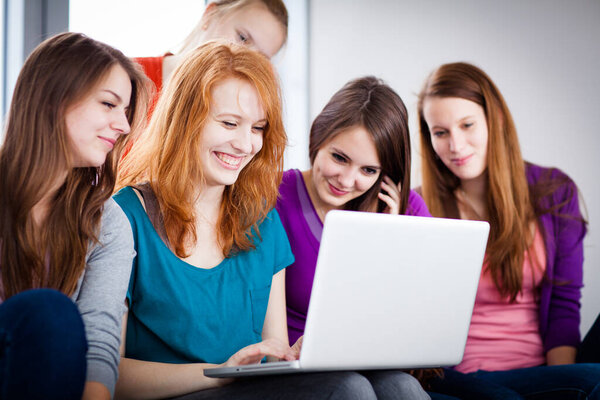 Group of female college students working on their homework/having a chat in between the lectures, using a laptop computer (color toned image)