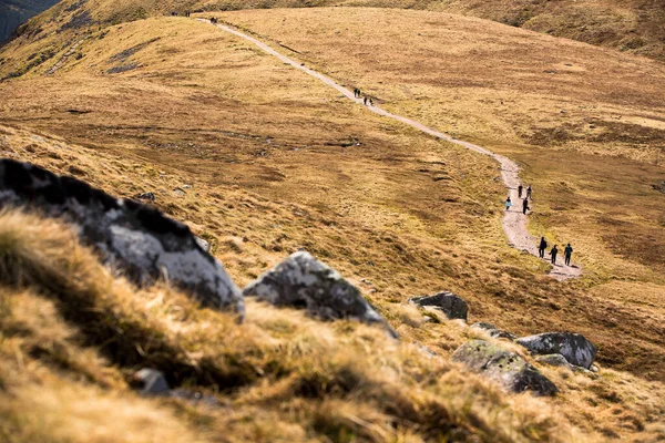 Mensen Wandelen Prachtige Ben Nevis — Stockfoto