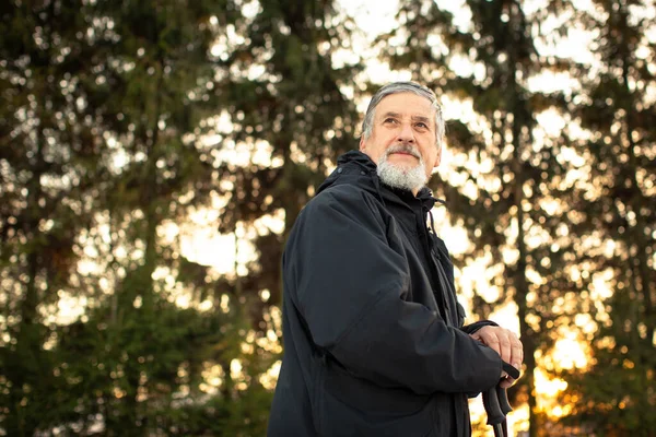 Senior Man Nordic Walking Enjoying Outdoors Fresh Air Getting Necessary — Stock Photo, Image