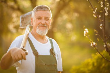 Güzel bir bahar gününde bahçesinde bahçe işleriyle uğraşan yakışıklı bir adamın portresi.)