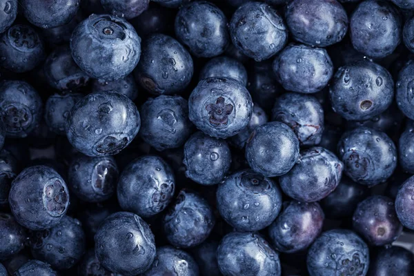 Fresh Dewy Ripe Blueberries — Stock Photo, Image