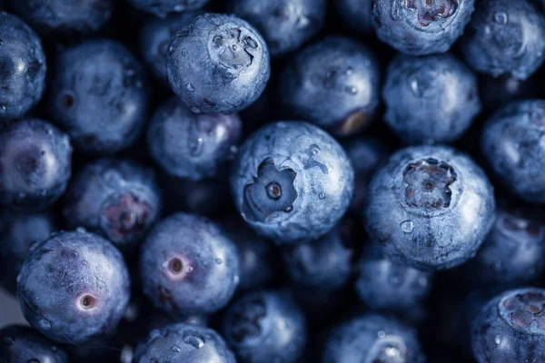 Fresh Dewy Ripe Blueberries — Stock Photo, Image