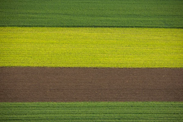 Frühling Der Natur Sonnenaufgang Getreidelandschaft Verschiedenfarbiger Felder — Stockfoto