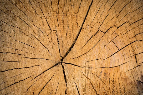 Povrch Pozadí Struktury Dřeva Struktura Přírodního Dřeva Dřevěné Pozadí Dřevěné — Stock fotografie