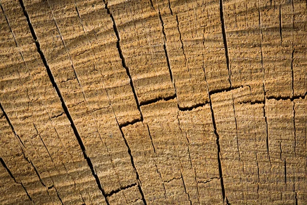 木の質感の背景表面 天然木の質感 木材の質感の背景 — ストック写真