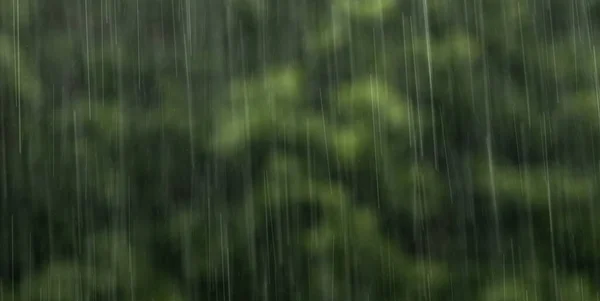 Pluie Tombant Ciel Apportant Humidité Très Nécessaire Nature — Photo