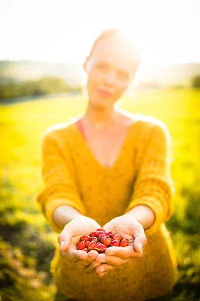 Красивая Молодая Женщина Собирает Плоды Шиповника Осенью — стоковое фото