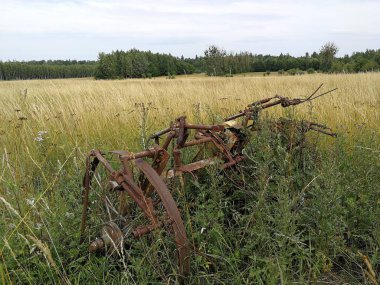 Tarım makine meadows, Bialowieza Köyü, Polonya, Europe önünde terk