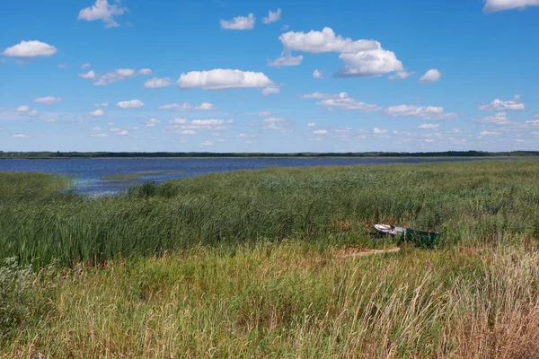 Reed, Podlasie bölge, Polonya, Europe tekne ile yaz öğle Siemianowka yapay lagün