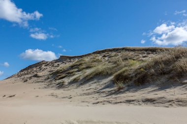 Gri Dunes iz, Curonian Spit Ulusal Park