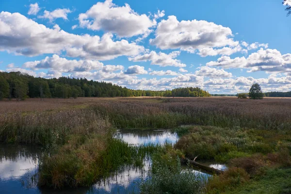 Осенью река Нарев — стоковое фото