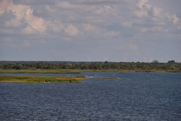 夏の平和的なLiepaja湖水平線上の鳥や発電所と Liepaja ラトビア ヨーロッパ — ストック写真