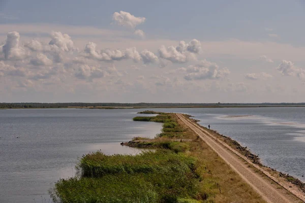 Миролюбивое Озеро Опая Летом Дамбовая Дорога Внутри Озеро Опая Латвия — стоковое фото