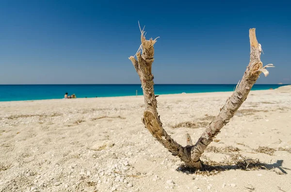 Holzstab Boden Strand — Stockfoto