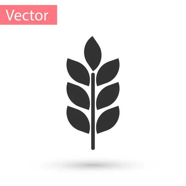 Grauen Getreidesymbol mit Reis, Weizen, Mais, Hafer, Roggen, Gerste Zeichen isoliert auf weißem Hintergrund eingestellt. Ähren von Weizenbrot Symbole. Landwirtschaft Weizen Symbol. Vektorillustration — Stockvektor