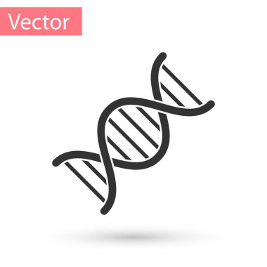 Beyaz arka plan üzerinde izole gri Dna sembol simge. Vektör çizim