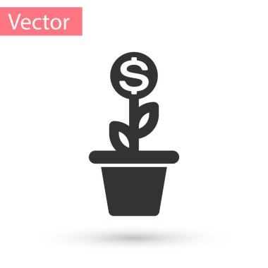 Beyaz arka plan üzerinde izole pot simgesi gri Doları bitki. İş yatırım büyüme kavramı. Para tasarruf ve yatırım. Vektör çizim