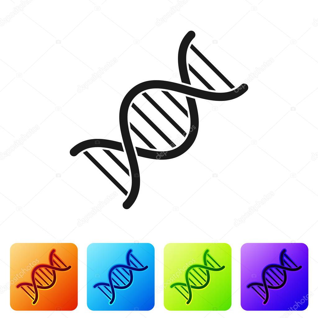 Black DNA symbol icon isolated on white background. Set icon in color square buttons. Vector Illustration