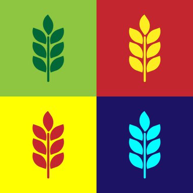 Renk hububat simge kümesi pirinç, buğday, Mısır, yulaf, çavdar, arpa işareti ile renkli arka planlar üzerinde izole. Kepekli ekmek sembollerin kulaklar. Tarım buğday sembolü. Düz tasarım. Vektör çizim