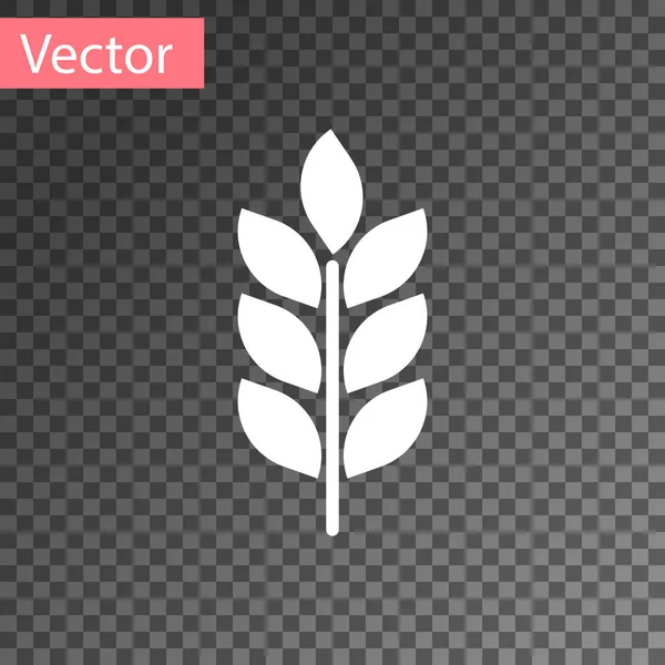 Weißes Getreidesymbol mit Reis, Weizen, Mais, Hafer, Roggen, Gerste auf transparentem Hintergrund. Ähren von Weizenbrot Symbole. Landwirtschaft Weizen Symbol. Vektorillustration — Stockvektor