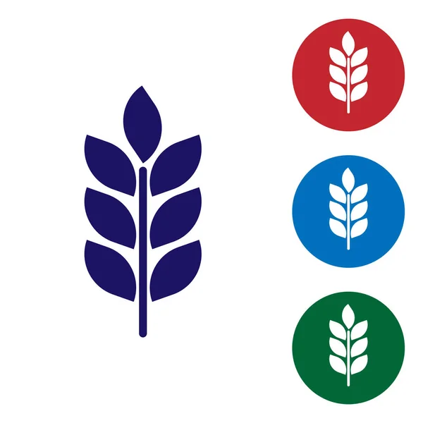 Blauwe pictogrammenset granen met rijst, tarwe, maïs, haver, rogge, gerst teken op witte achtergrond. Oren van tarwebrood symbolen. Landbouw tarwe symbool. Stel de kleur pictogram in cirkel knoppen. Vectorillustratie — Stockvector