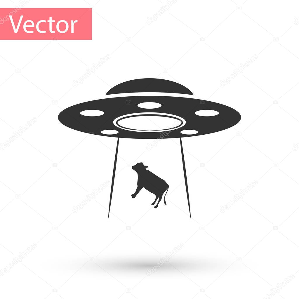 Grey UFO abducts cow icon isolated on white background. Flying saucer. Alien space ship. Futuristic unknown flying object. Vector Illustration